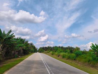 Agricultural-Land-for-sale-Kulai-Johor