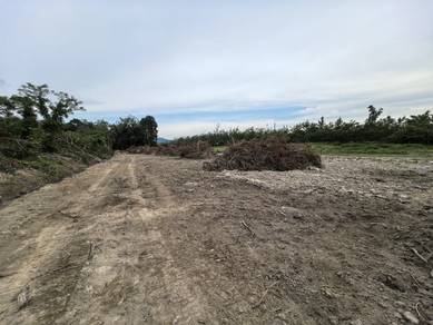 Agricultural-Land-for-sale-Rembau-Negeri-Sembilan