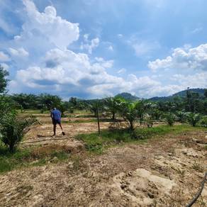 Parit Road - 5 acres - Freehold - 5 / 6 Years 