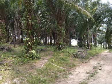tanah non bumi murah di alor gajah