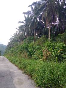 55 Acres Land for Sale at Rasa Jaya, Seremban
