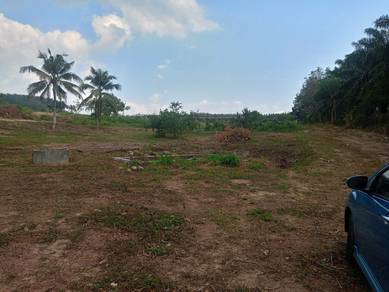 17.2 Ekar Tanah Pertanian di Durian Tunggal, TEPI JALAN UTAMA