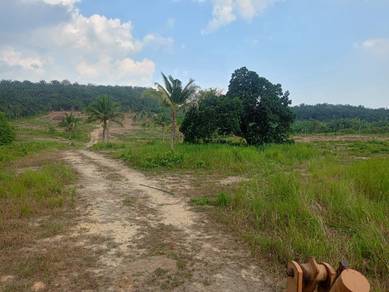 17.2 Ekar Tanah Pertanian di Durian Tunggal, TEPI JALAN UTAMA