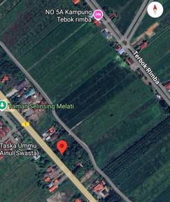 Tanah Pertanian Kampung Dew Gunung Semanggol, Perak 1st Layer