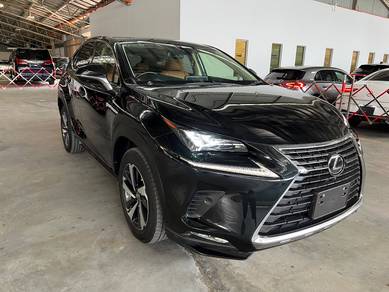 Lexus NX300 VER-L 2.0 (A) P/ROOF 4CAM P/BOOT