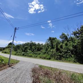 Freehold Agriculture Native Land Beraya Miri