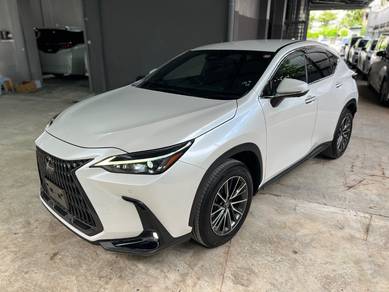 JAPAN UNREG 2022 Lexus NX 250 2.5 BSM DIM HUD 4CAM