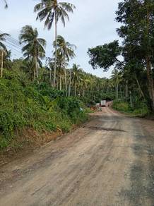Agricultural-Land-for-sale-Kudat-Sabah