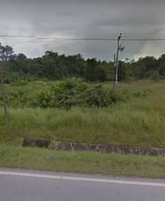 Facing main road 1st & 2nd Lots Agriculture Land @ Tanjung Durian