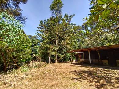 Tanah Dusun 2.3 Ekar  – Bukit Tamu, Batang Kali