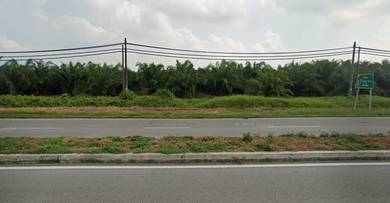 Agricultural Land @ Kapar, Selangor For Sale
