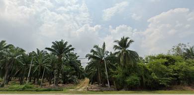 Agricultural Land in Big Size Jeram Selangor For Sale
