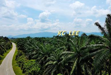 12.61 Acres Main Road Agricultural Land @ Baling , Kupang , Kedah