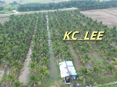 3.206 Acres Coconut Land For Sale @ Sungai Acheh , Nibong Tebal