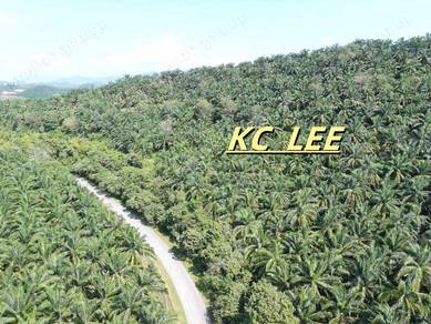 121.8 Relung Main Road Agricultural Land @ Tawar,Baling Kedah