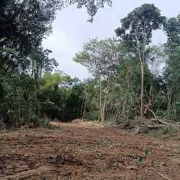 Land for Sale Papar Town
