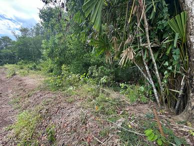 FREEHOLD NON BUMI LOT Agriculture Land Nearby Jalan Lecongan Barat