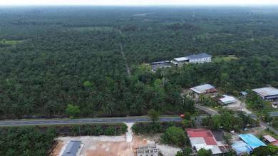 Agricultural-Land-for-sale-Pontian-Johor-2