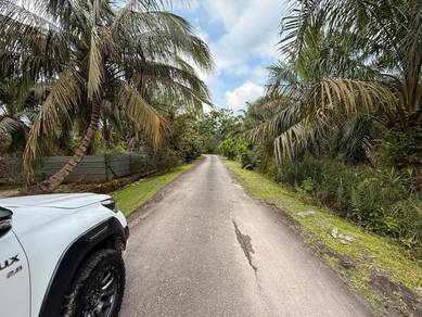 Agricultural-Land-for-sale-Pontian-Johor