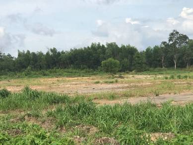 Lot tanah Kg Tajau, Tuaran dekat SMK Sri Nangka dan CKS plaza
