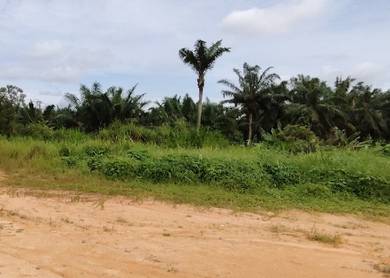 110 acre Industry Land Senai, Kulai Johor