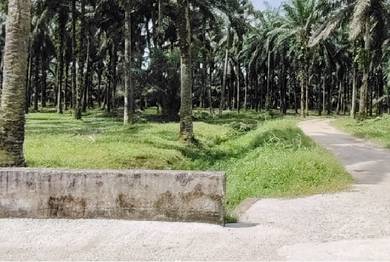 110 acre Industry Land Senai, Kulai Johor
