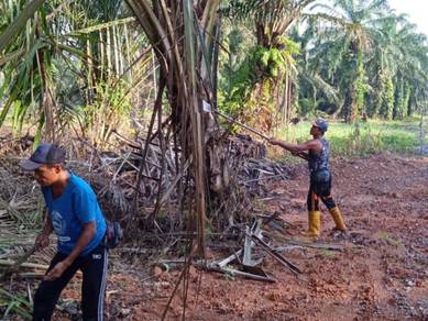 [ Sungai Gersik ] Tanah Pertanian 1.6 Ekar , Seri Menanti , Muar Johor