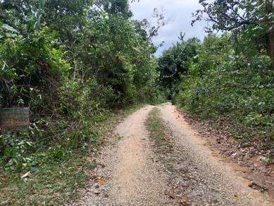 Tanah kebun