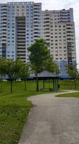 Desaminium Rimba 5R3B Seri Kembangan Serdang Puncak Jalil