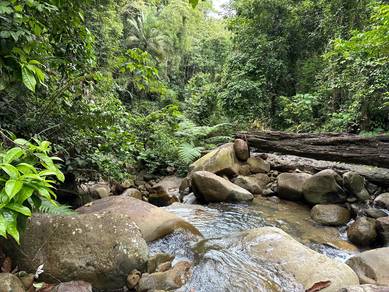 Kinolosodon | NT Land | 7.29 Acres