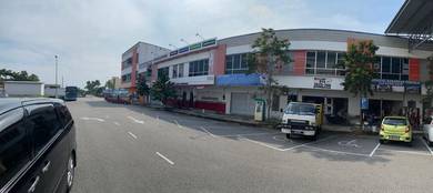 D Cattleya - Senawang for sale