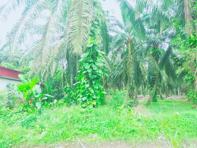 Kamunting Freehold Vacant Agricultural Land
