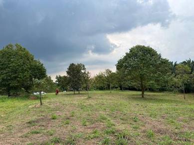 Durian Plantation @ Sungkai