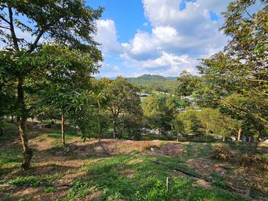 2.7 ekar non bumi land Durian orchard Hulu Langat