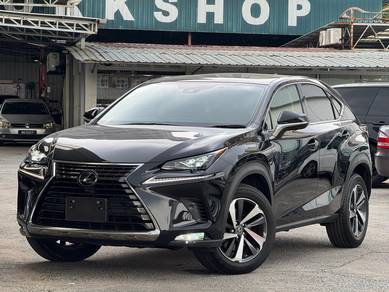Lexus NX300 2.0 I PACKAGE (A)