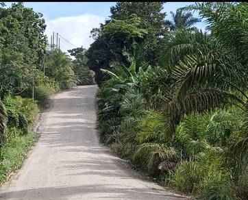 Agricultural-Land-for-sale-Beluran-Sabah