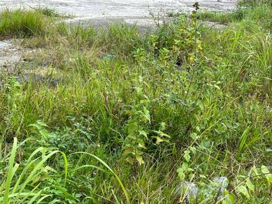 Land for Storage Second layer Old Klang Road