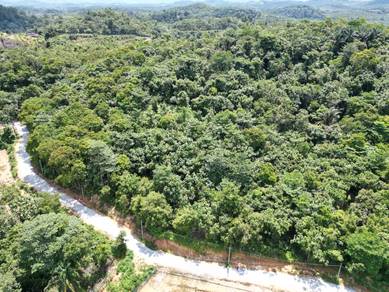 Agricultural-Land-for-sale-Rembau-Negeri-Sembilan