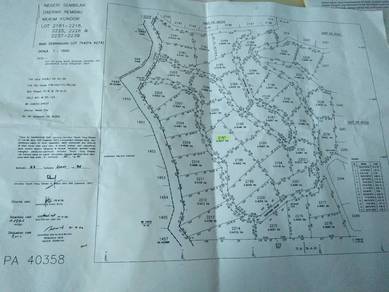 Agricultural-Land-for-sale-Rembau-Negeri-Sembilan-2