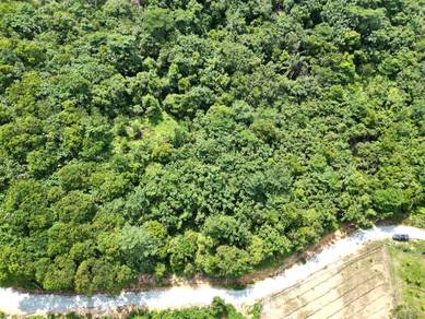 Agricultural-Land-for-sale-Rembau-Negeri-Sembilan-3