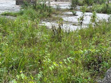 Commercial land Second layer Old Klang Road
