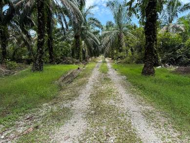 Land For Sale At Langkap,Teluk Intan,Perak.