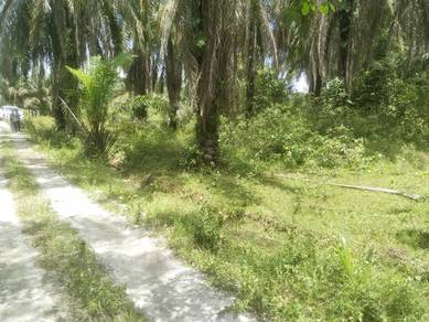 Agricultural-Land-for-sale-Baling-Kedah