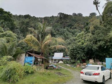 Agricultural-Land-for-rent-Batu-Maung-Penang