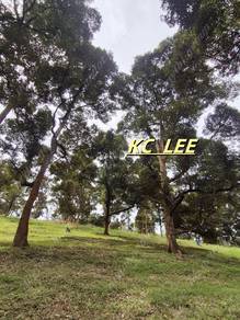 9.18 Acres Old Durian Garden (With Clean Water Source) @ Taiping Perak