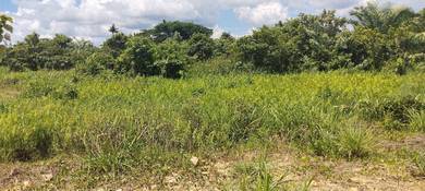 Agricultural-Land-for-sale-Kota-Kinabalu-Sabah
