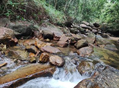 Tanah Dusun di Meru, Ipoh (Tepi Sungai)