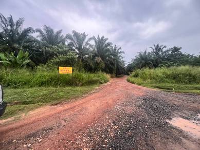 Non Bumi Tanah Pertanian Durian 6 Ekar G.S.A Dato Awang Mukim Labis