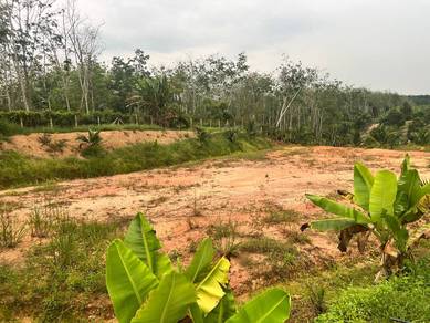 Non Bumi Tanah Pertanian Durian G.s.a Dato Awang Mukim Labis Johor