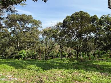 Agriculture Land @ Mantin, Beside Lekas Highway, Negeri Sembilan